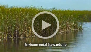 Play Video - Environmental Stewardship