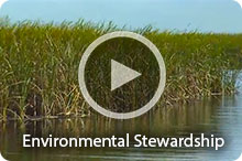 Watch Video: Environmental Stewardship