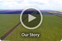 Watch Video: Our Story