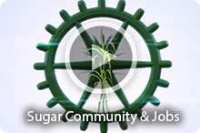 Watch Video: Sugar Community and Jobs