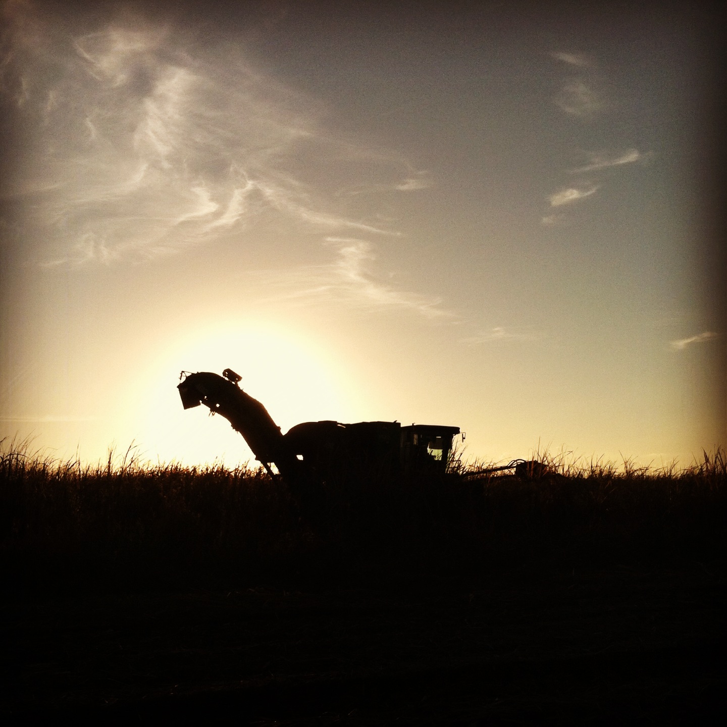 Sugar Cane Growers Cooperative of Florida Working for Sugar Growers