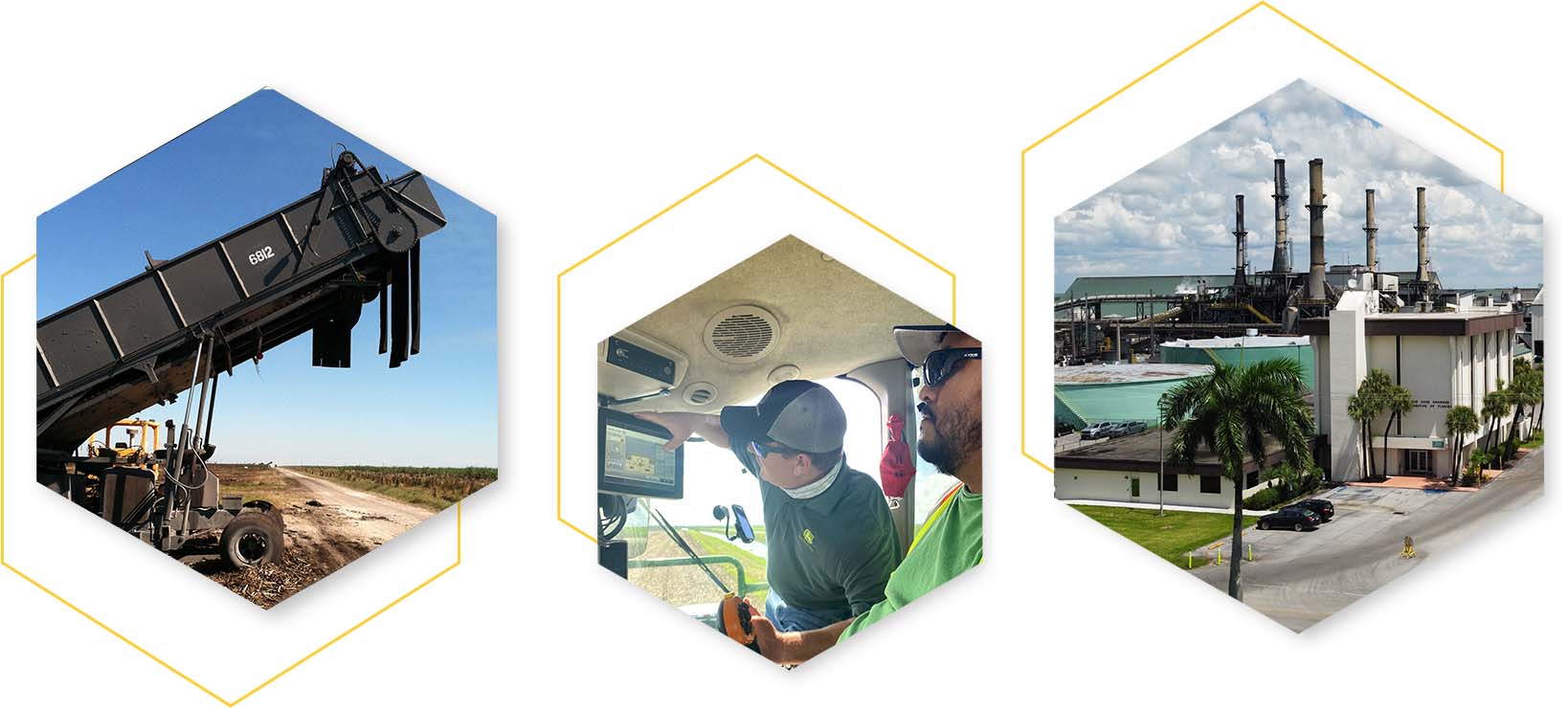 Our History Sugar Cane Growers Cooperative of Florida